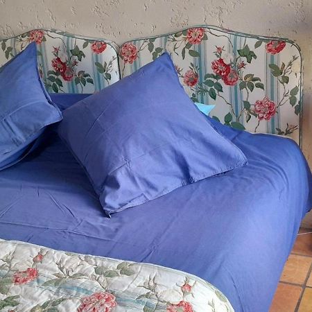Bed and Breakfast Logis de Chenac Chenac Saint Seurin d'Uzet Exterior foto