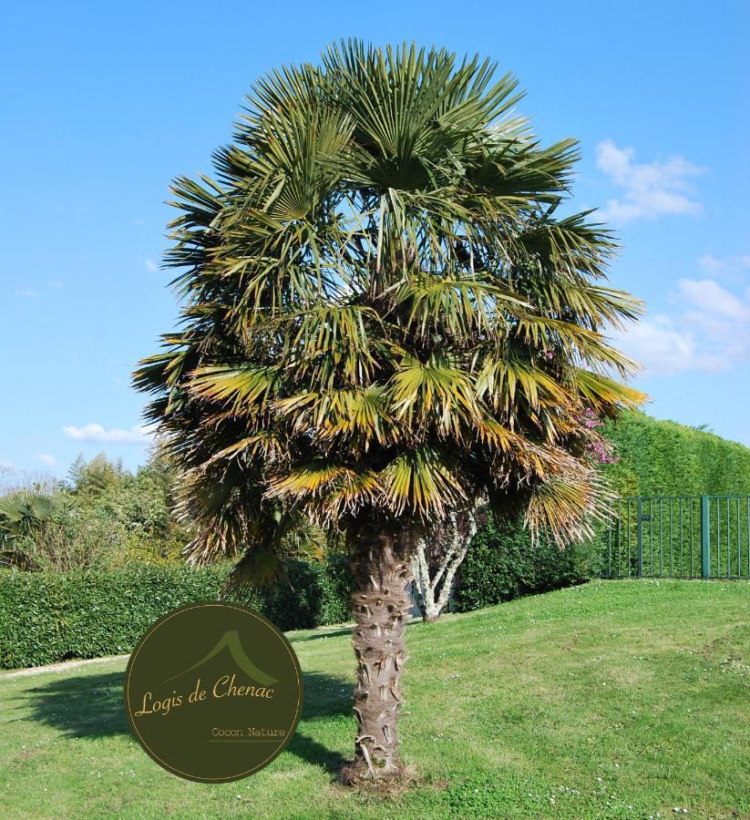 Bed and Breakfast Logis de Chenac Chenac Saint Seurin d'Uzet Exterior foto