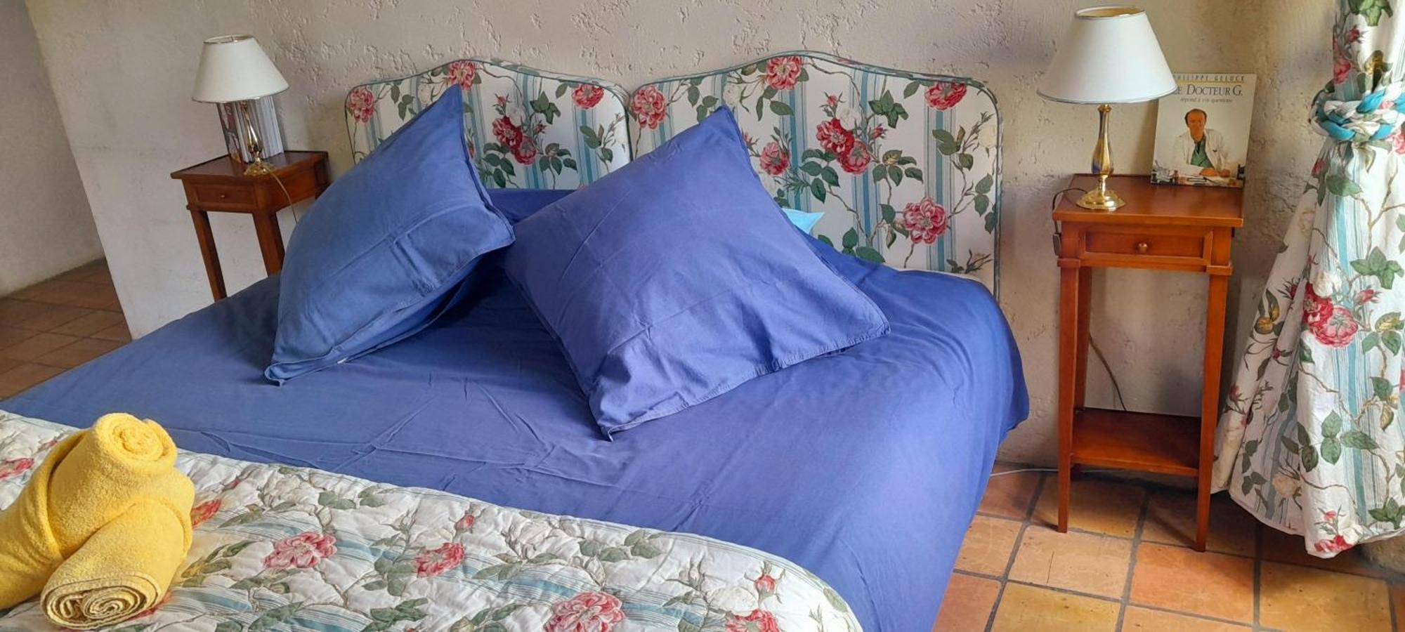 Bed and Breakfast Logis de Chenac Chenac Saint Seurin d'Uzet Exterior foto