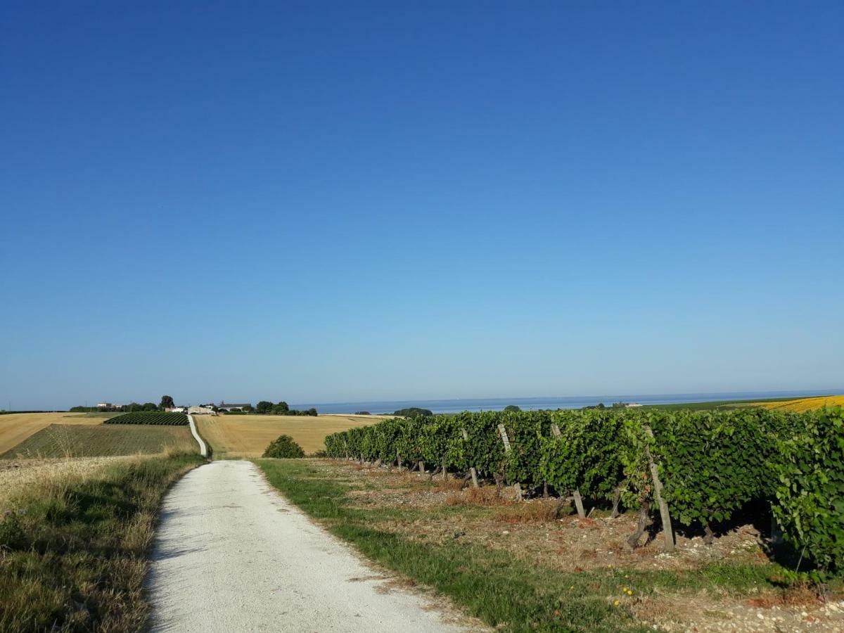 Bed and Breakfast Logis de Chenac Chenac Saint Seurin d'Uzet Exterior foto