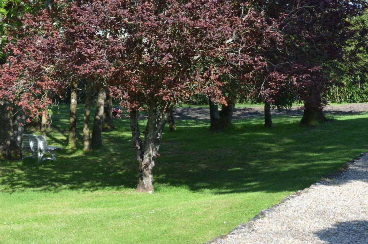 Bed and Breakfast Logis de Chenac Chenac Saint Seurin d'Uzet Exterior foto